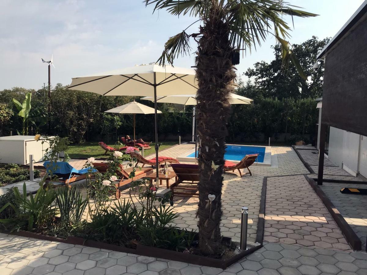 Palme Villa Poreč Eksteriør bilde